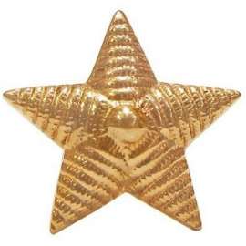Звезда 20мм золотая РИФЛЕНАЯ металл