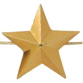 Звезда 20мм золотая, полевая металл.